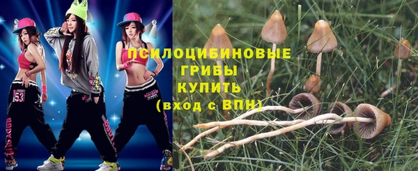 эйфоретик Иннополис