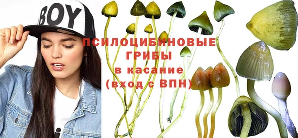 эйфоретик Иннополис