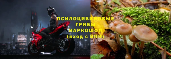 дживик Каменногорск