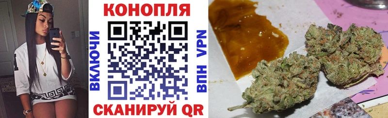 Канабис семена  Купить где  Игарка 